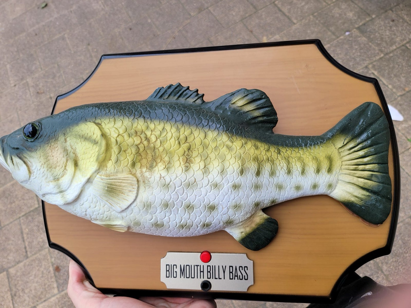 The Billy Bass on a desk on the first day of the project